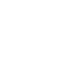 Custom Architecture icon